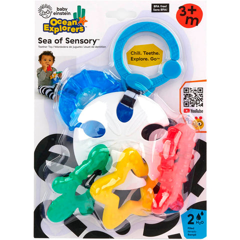 Baby Einstein Mordedor Sea of Sensory