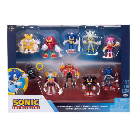 Sonic The Hedgehog Friends & Rivals 2.5