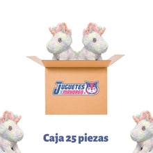 Caja con 25 Piezas