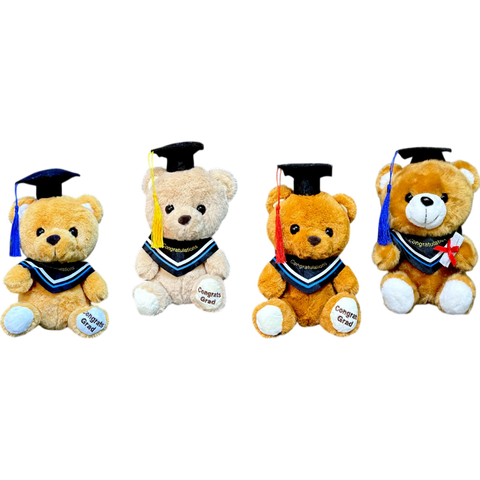 Oso Graduación Chico