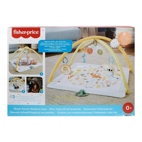 Simply Senses™ Newborn Gym / Gimnasio para Bebés Primeros Sentidos