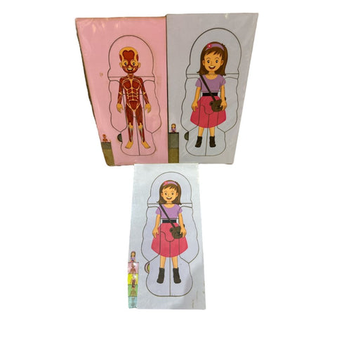 Rompecabezas Del Cuerpo Humano 5 Fases Niña